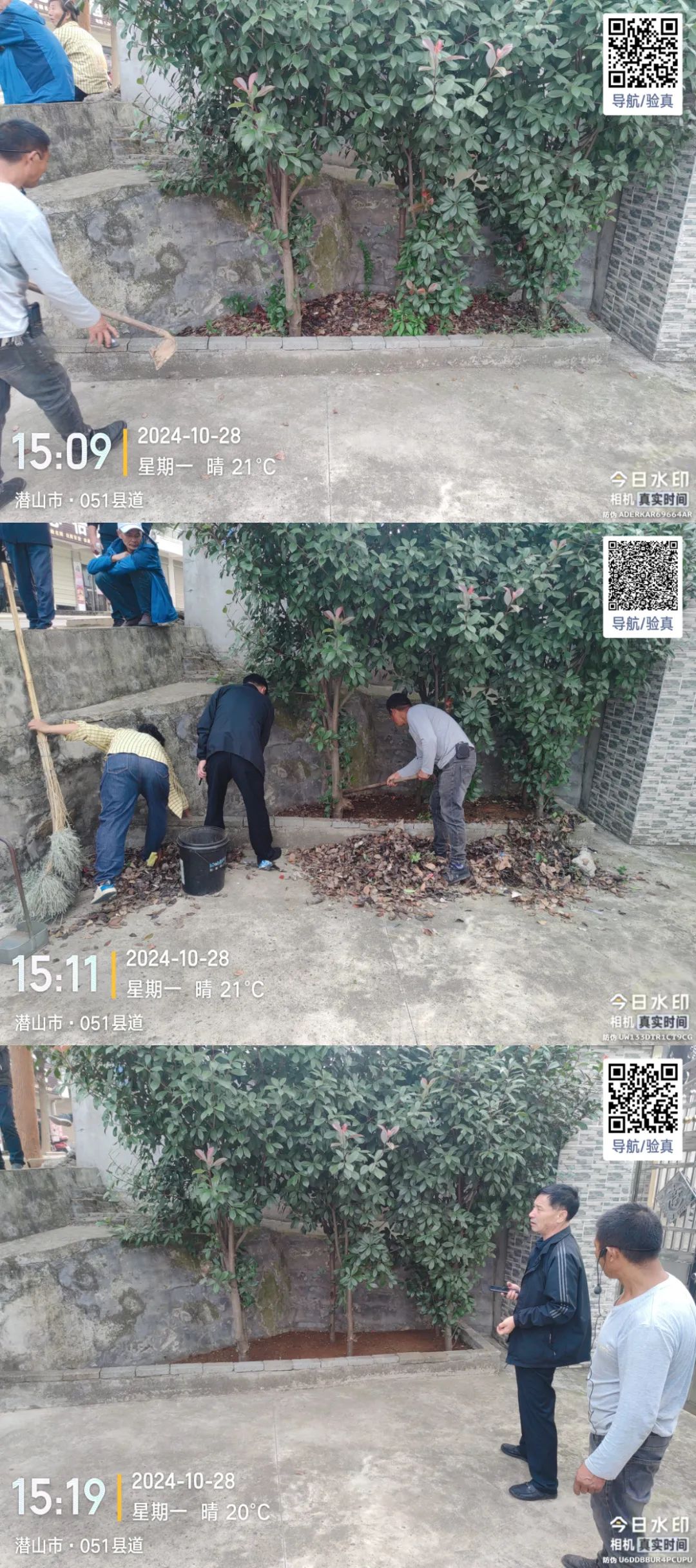 微信图片_20241029084242.jpg